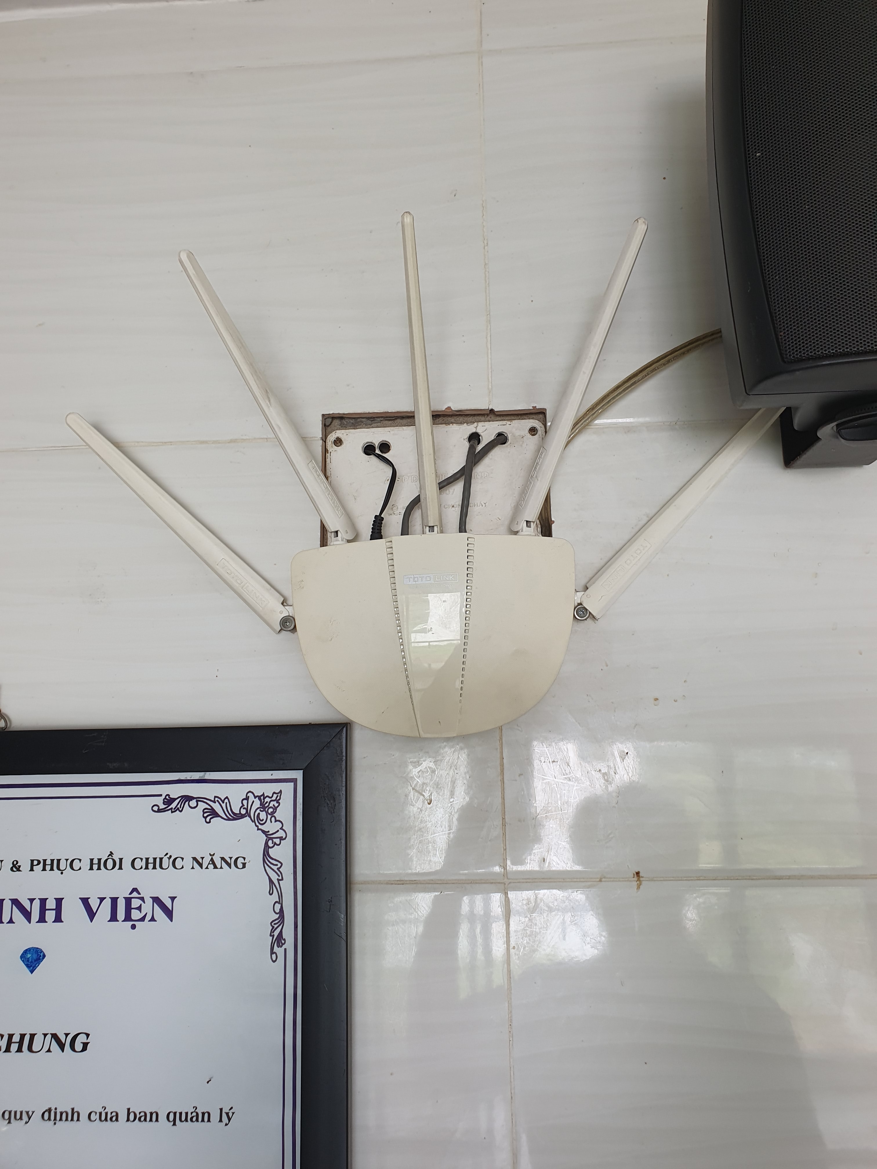 20231023 114137 rotated