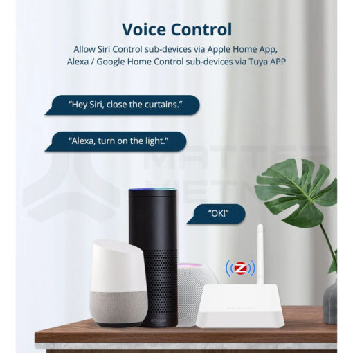 Zemismart Hub Zigbee Gen 2_Voice control