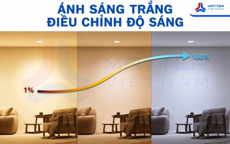 Lợi ích khi sử dụng đèn âm trần Wiz Downlight RGB 4 inch 7W