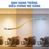 den-am-tran-wiz-downlight-5-inch-7w-4 Đèn Âm Trần Wiz Downlight RGB 4 Inch 7W (PHI WFB RGB/7W RD4)