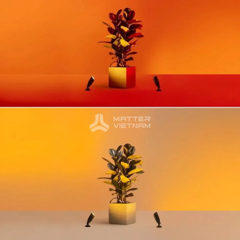 wiz spotlight kit2 5