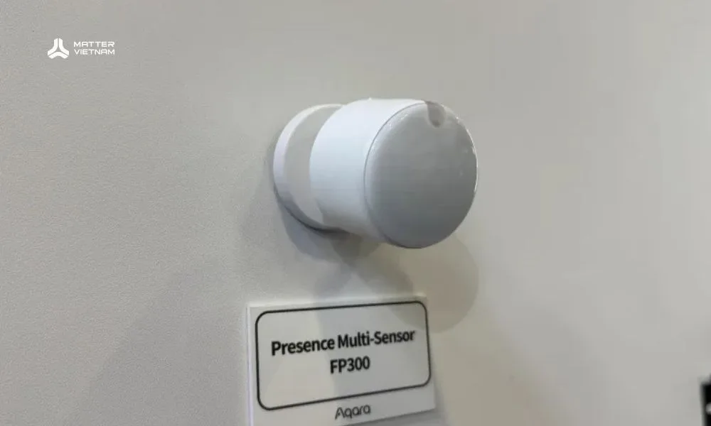 Cảm biến hiện diện FP300   