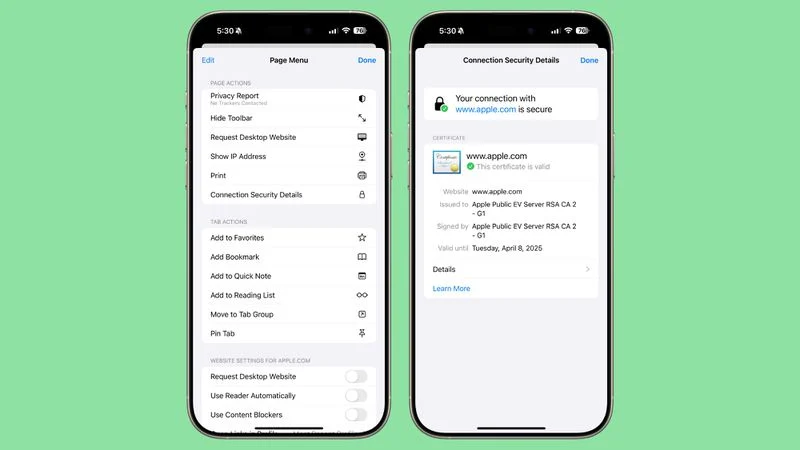 ios 18.4 connection security