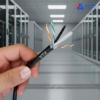 cap-mang-golden-link-ngoai-troi-cat-6-utp-3 Cáp mạng Golden Link ngoài trời Cat 6 UTP
