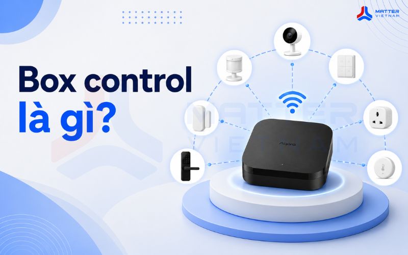 Box control là gì?