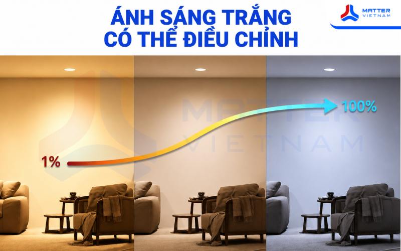 Nên mua Đèn âm trần Wiz Downlight RGB 5 inch 11W tại Matter
