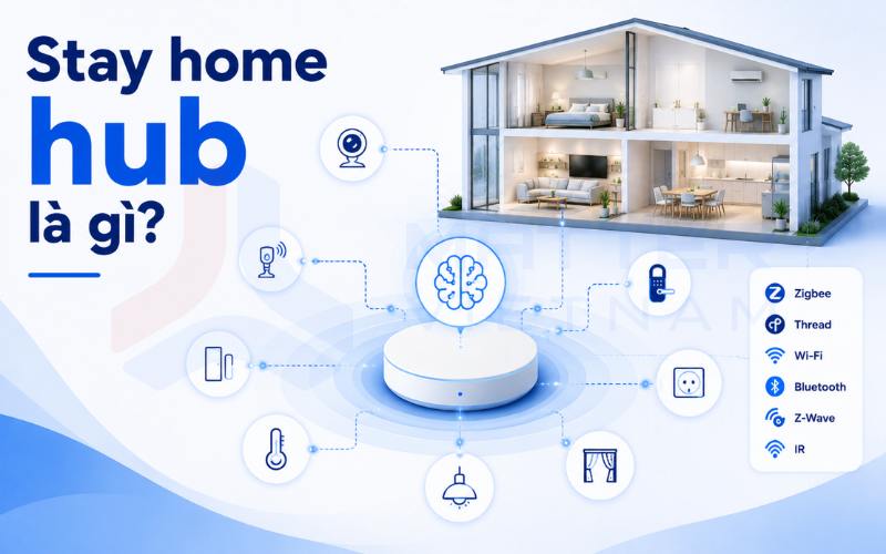 Stay home hub là gì?